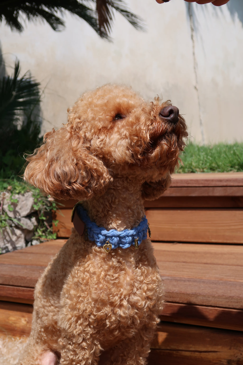 Auba— Collier bleu S