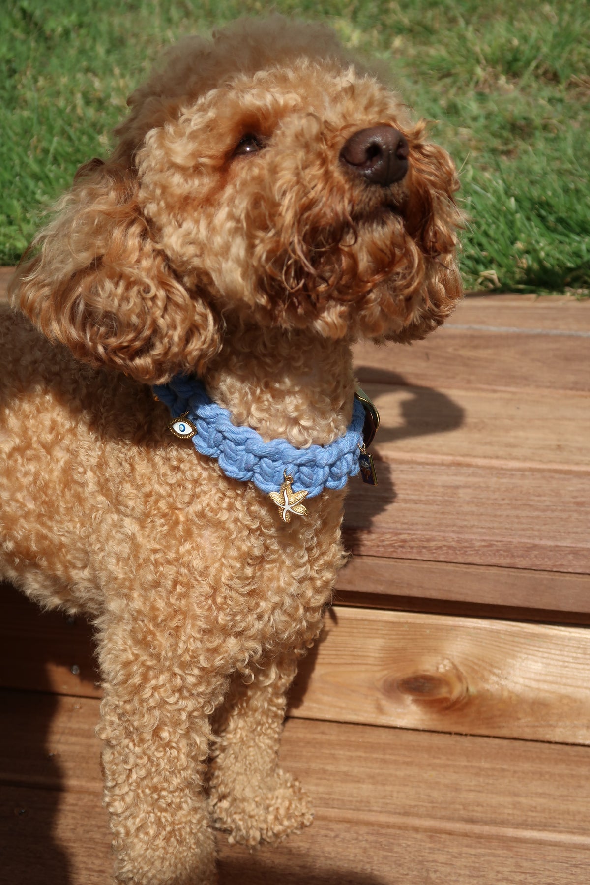 Estela — Collier bleu XS