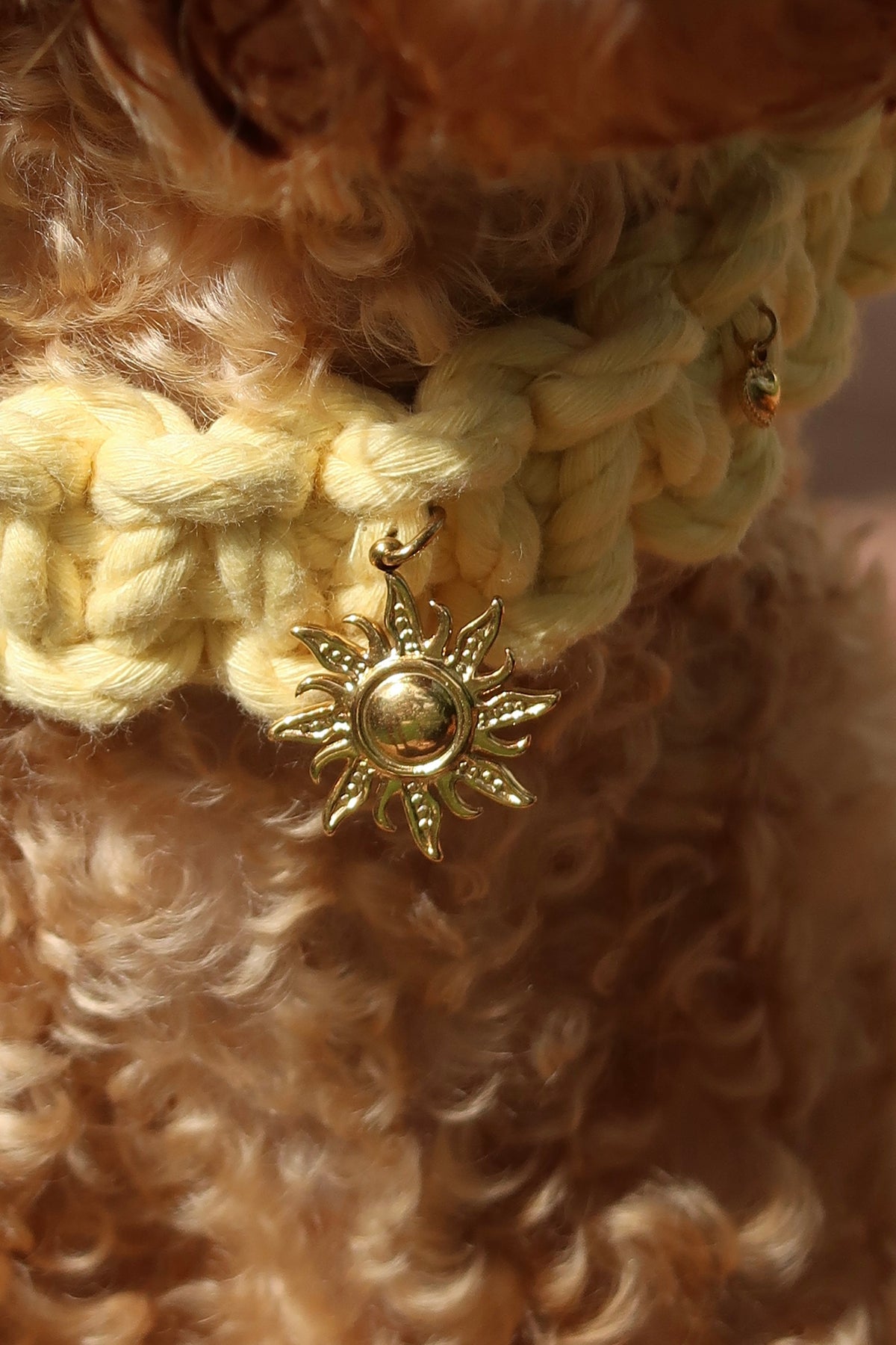 Soleia — Collier jaune XS
