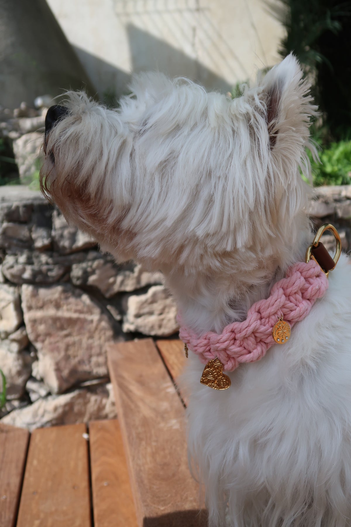 Cara — Collier rose M