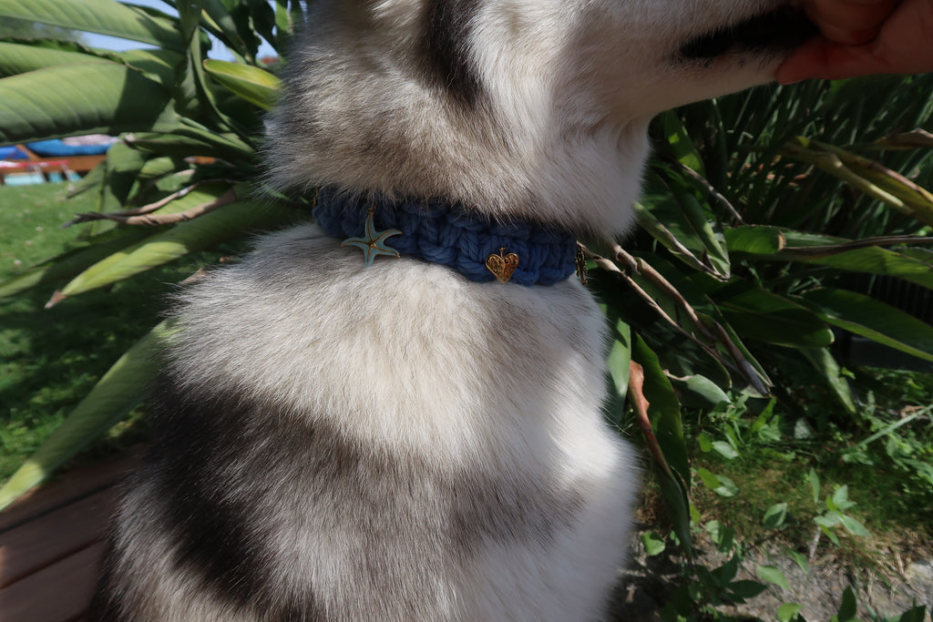 Mar — Collier bleu L