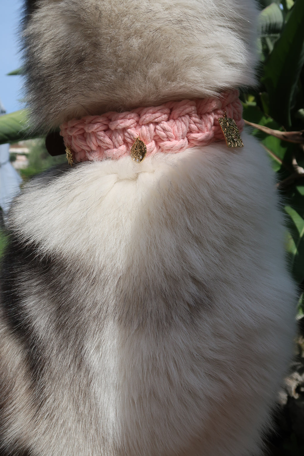 Brava — Collier rose L