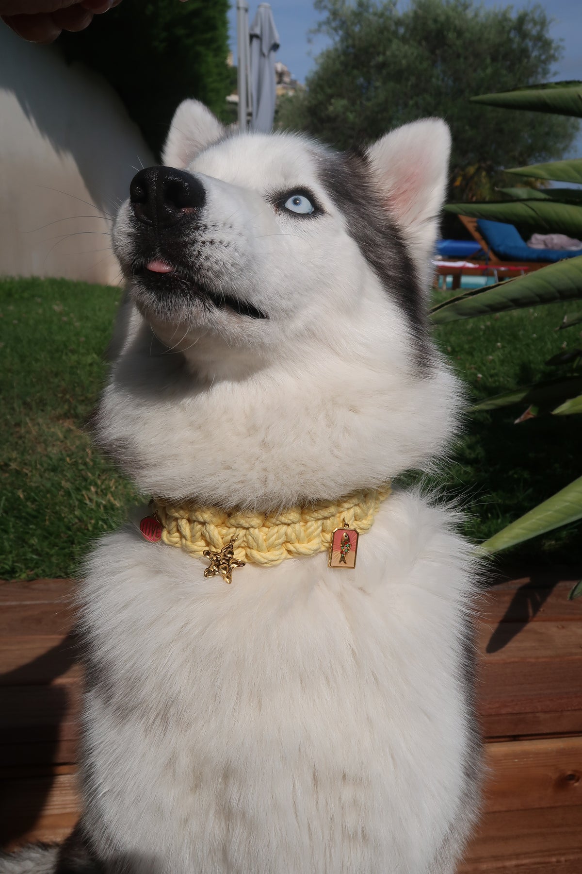 Issa — Collier jaune XL